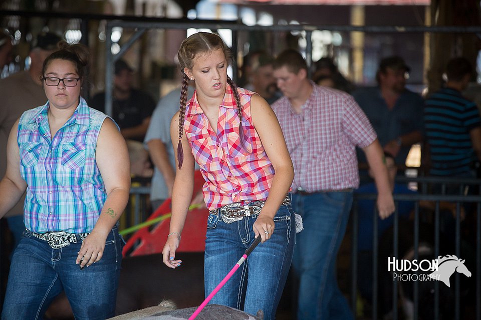 LCFAIR15-2063.jpg