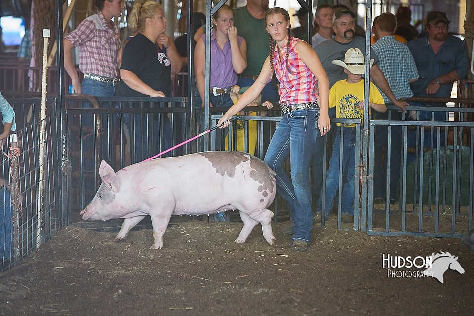 LCFAIR15-2083.jpg