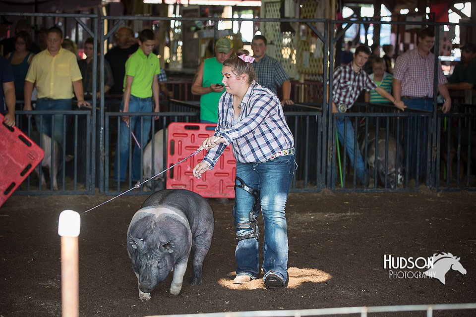 LCFAIR15-2084.jpg