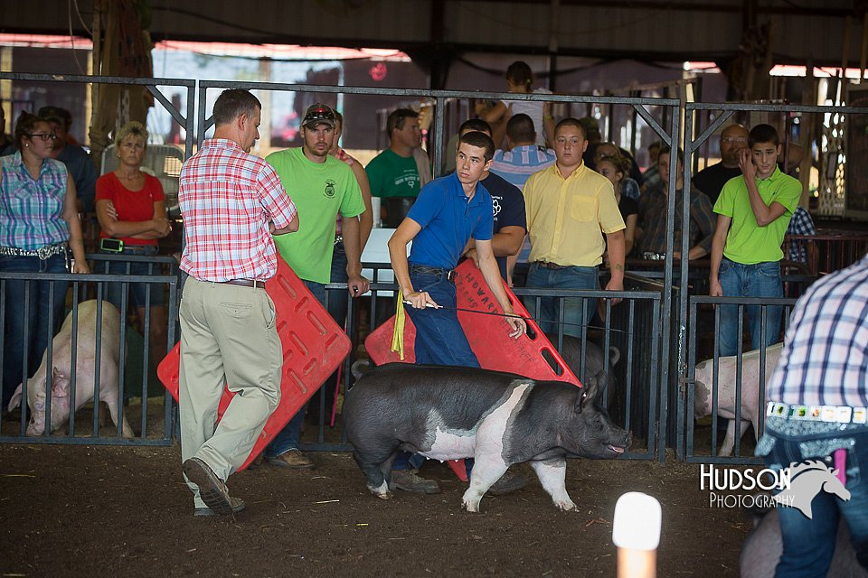 LCFAIR15-2085.jpg