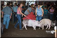 LCFAIR15-2055.jpg