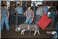 LCFAIR15-2057.jpg