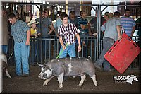 LCFAIR15-2058.jpg