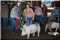 LCFAIR15-2062.jpg
