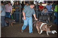 LCFAIR15-2065.jpg