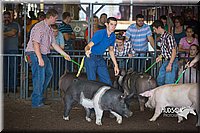 LCFAIR15-2066.jpg