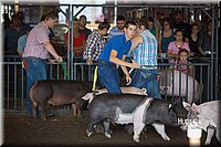 LCFAIR15-2067.jpg