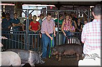 LCFAIR15-2069.jpg