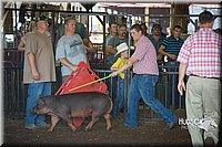 LCFAIR15-2070.jpg