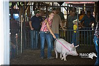 LCFAIR15-2071.jpg