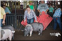 LCFAIR15-2072.jpg