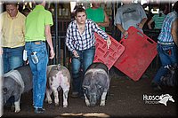 LCFAIR15-2073.jpg