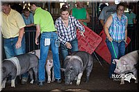 LCFAIR15-2074.jpg