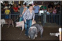 LCFAIR15-2075.jpg