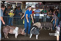 LCFAIR15-2076.jpg