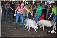 LCFAIR15-2077.jpg