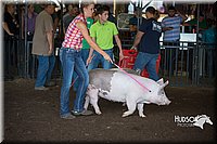 LCFAIR15-2078.jpg