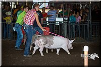 LCFAIR15-2079.jpg