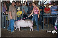 LCFAIR15-2082.jpg