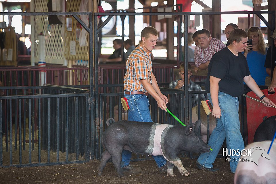 LCFAIR15-2119.jpg