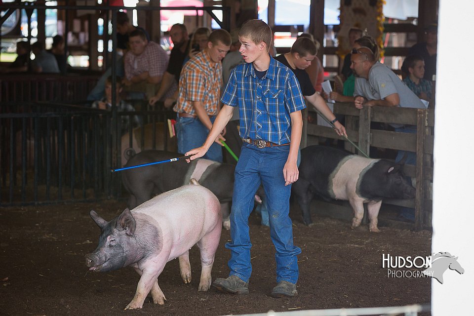 LCFAIR15-2120.jpg