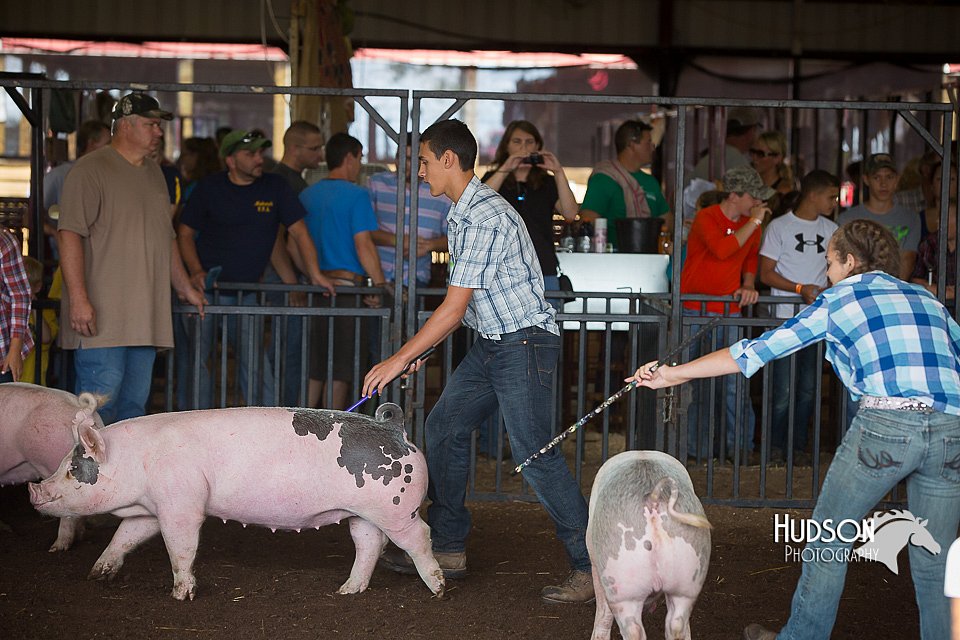 LCFAIR15-2122.jpg
