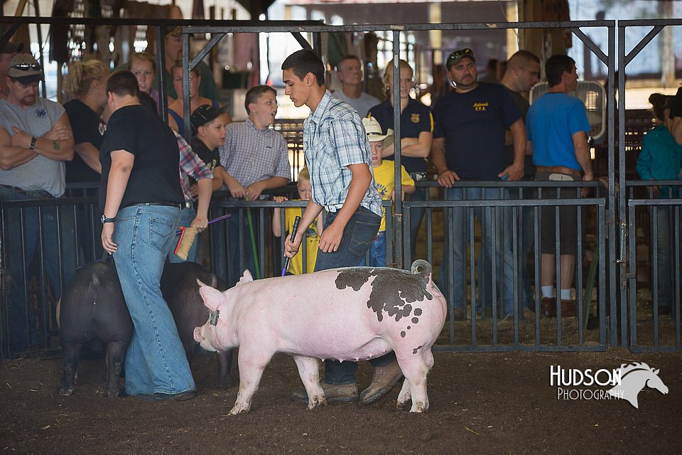 LCFAIR15-2124.jpg