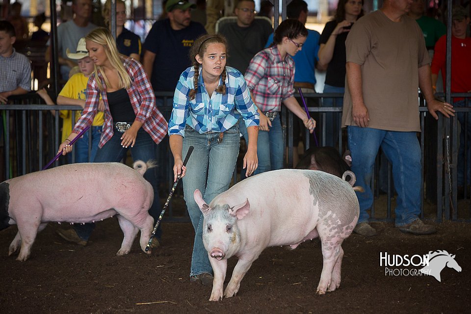 LCFAIR15-2126.jpg