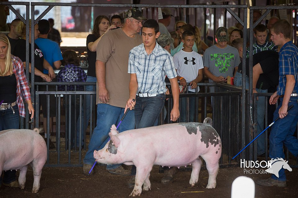 LCFAIR15-2128.jpg