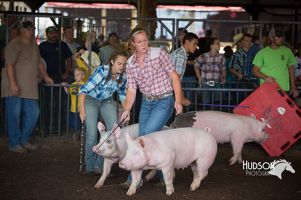 LCFAIR15-2129.jpg