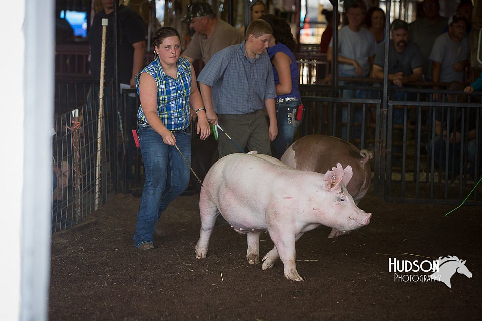 LCFAIR15-2137.jpg