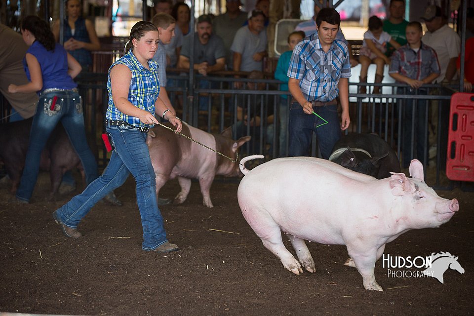 LCFAIR15-2138.jpg