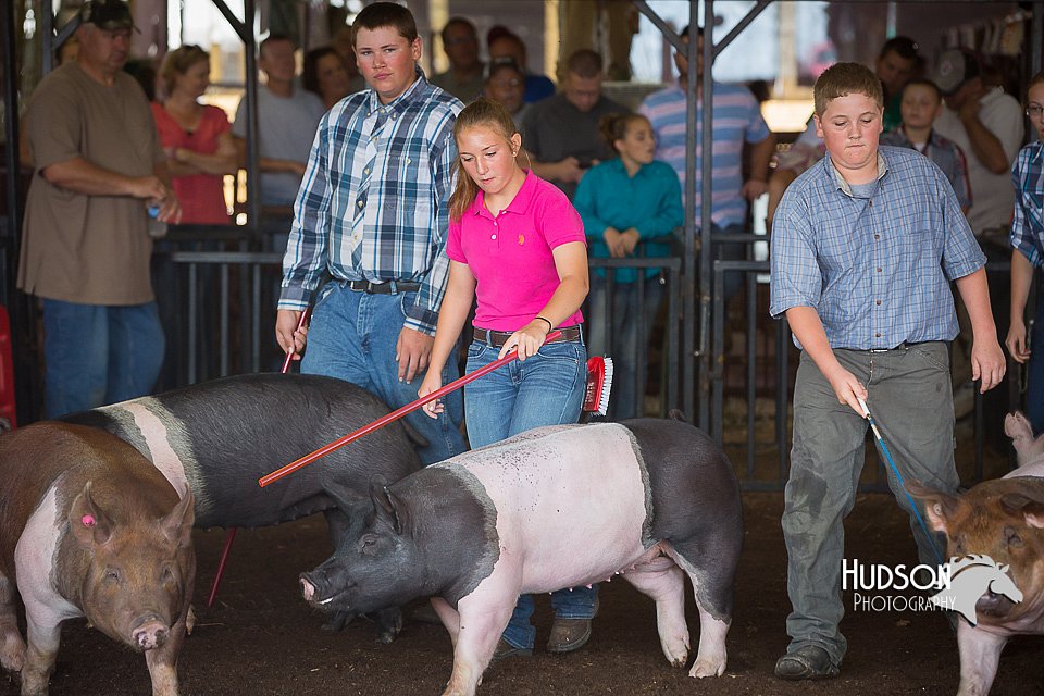 LCFAIR15-2141.jpg