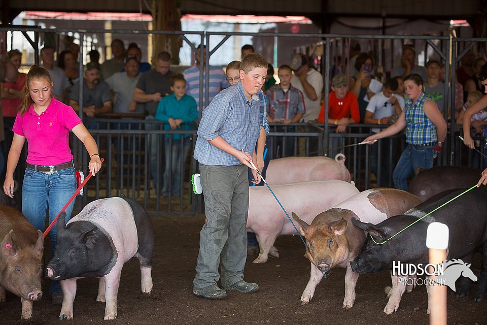 LCFAIR15-2142.jpg