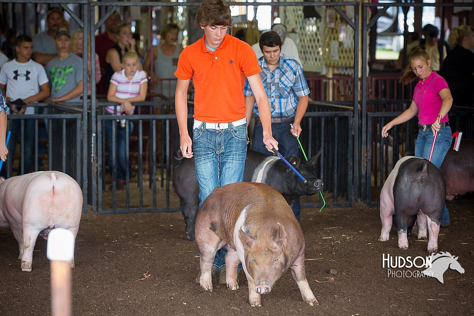 LCFAIR15-2143.jpg