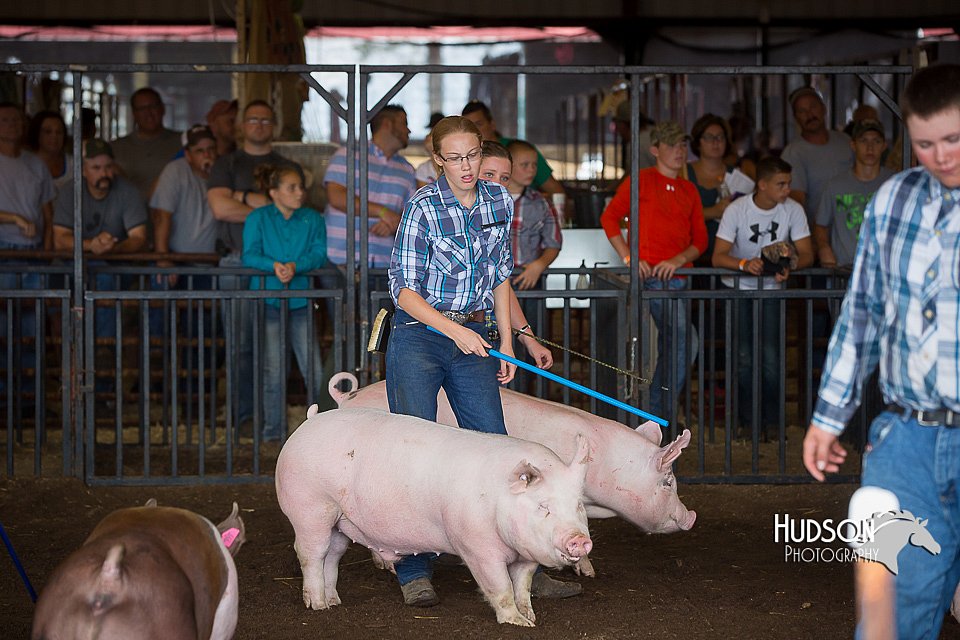 LCFAIR15-2145.jpg