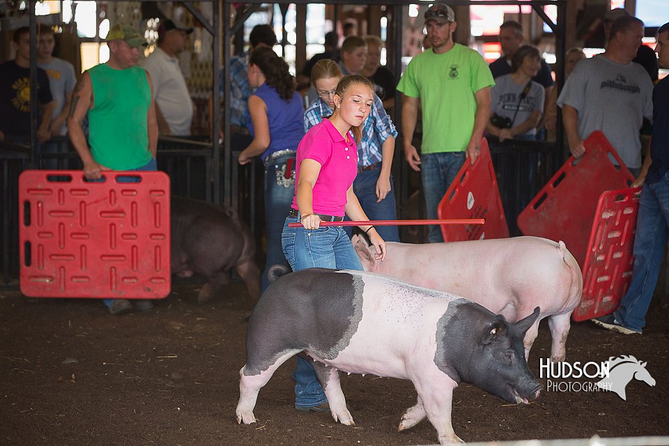 LCFAIR15-2146.jpg