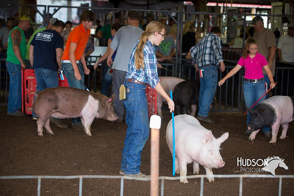 LCFAIR15-2152.jpg