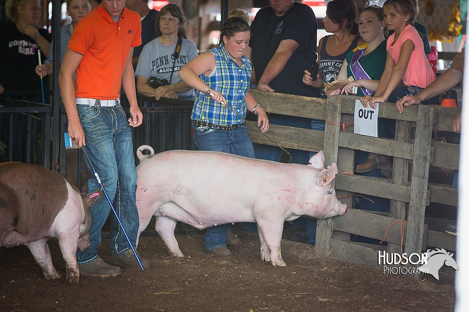LCFAIR15-2153.jpg