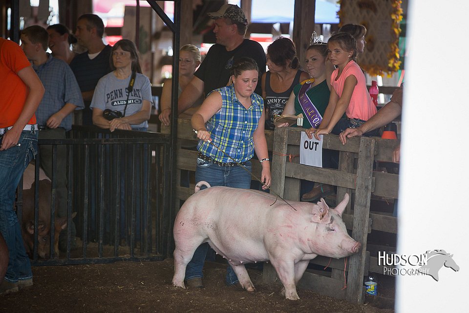 LCFAIR15-2154.jpg