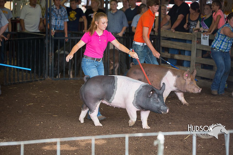 LCFAIR15-2155.jpg
