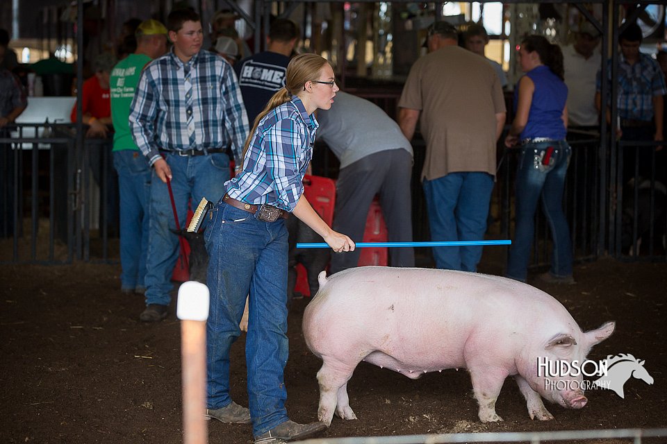 LCFAIR15-2157.jpg