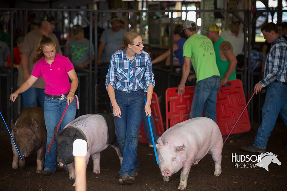 LCFAIR15-2158.jpg