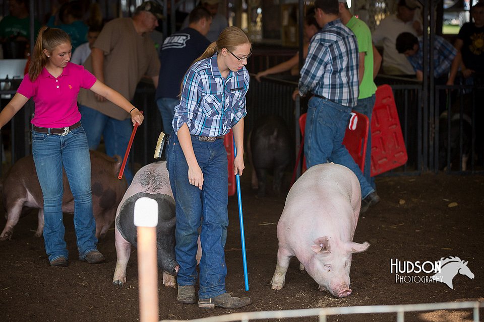 LCFAIR15-2159.jpg