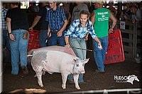 LCFAIR15-2123.jpg
