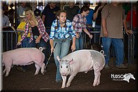 LCFAIR15-2126.jpg