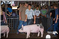 LCFAIR15-2128.jpg
