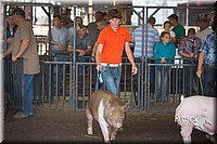 LCFAIR15-2133.jpg
