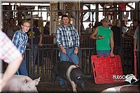 LCFAIR15-2134.jpg