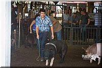 LCFAIR15-2135.jpg